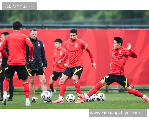 上海羽毛球队的控制策略与发展趋势深度解析