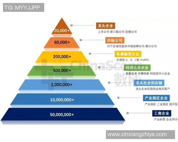 广州篮球队比赛经验分析与表现评估的深度研究与探讨