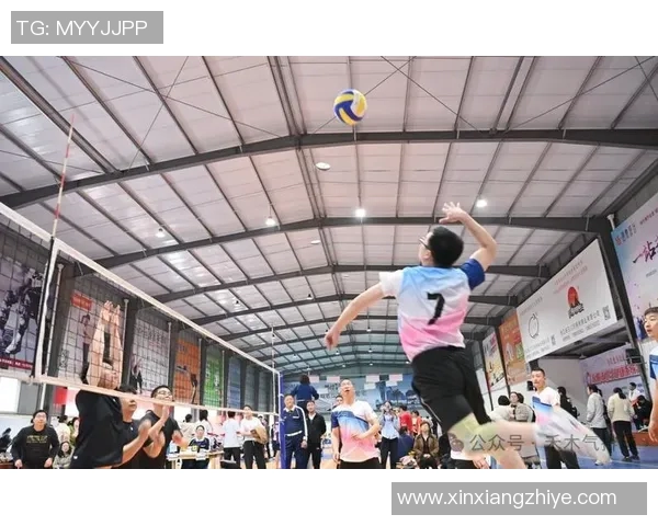 排球新手必看：提升耐力的全面入门攻略与训练建议