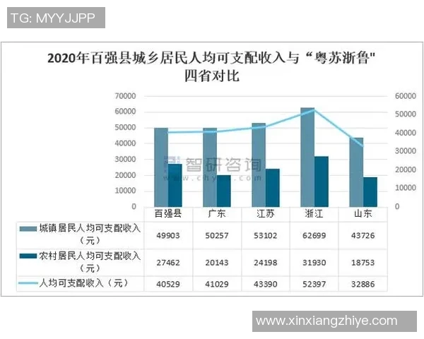 深入解析杭州乒乓球队的实力表现与发展趋势的全面数据分析