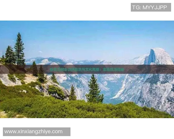 科学排球训练新方法提升速度与反应能力的全面指南