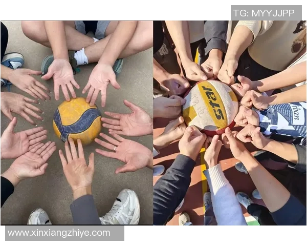 赵伟独家分享排球心得与技巧助你提升竞技水平与团队协作能力